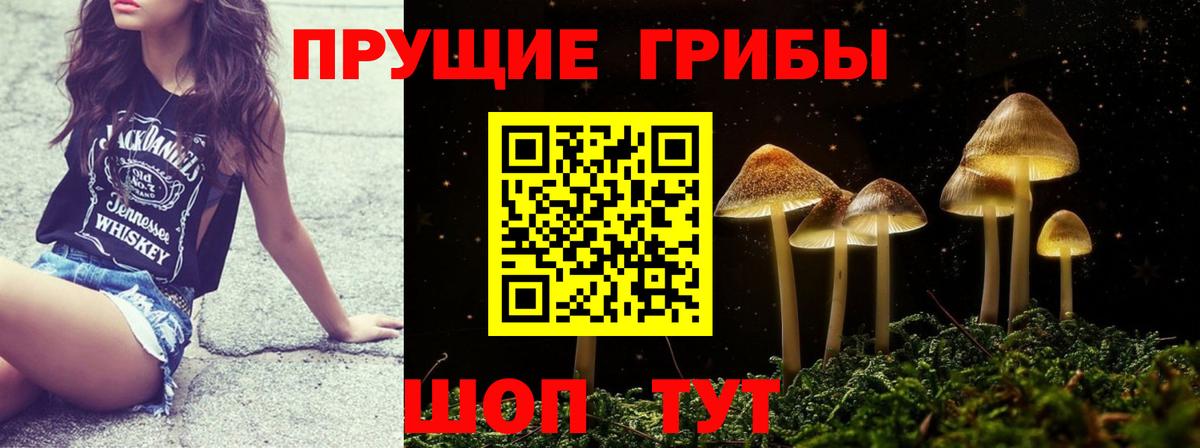 Родники  как найти   Вход с VPN  Галлюциногенные грибы мицелий 